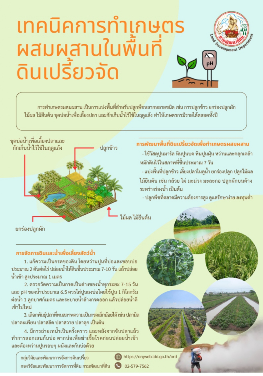 เทคนิคการทำเกษตรผสมผสานในพื้นที่ดินเปรี๊ยวจัด
