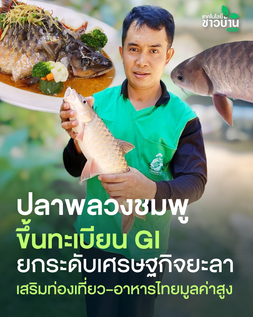 “ปลาพลวงชมพู”ขึ้นทะเบียนGIจังหวัดยะลา