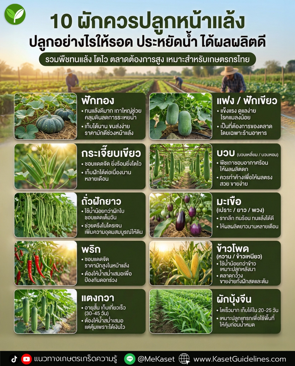 10ผักควรปลูกหน้าแล้ง