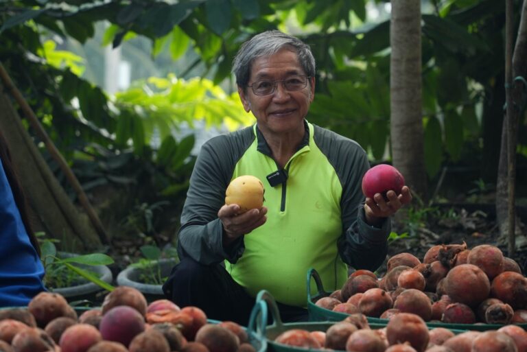 มะริดจากไม้ป่าใกล้สูญพันธุ์