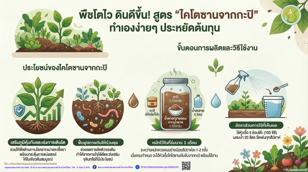 สูตรไคโตซานจากกะปิ ทำเองง่ายๆ ประหยัดต้นทุน