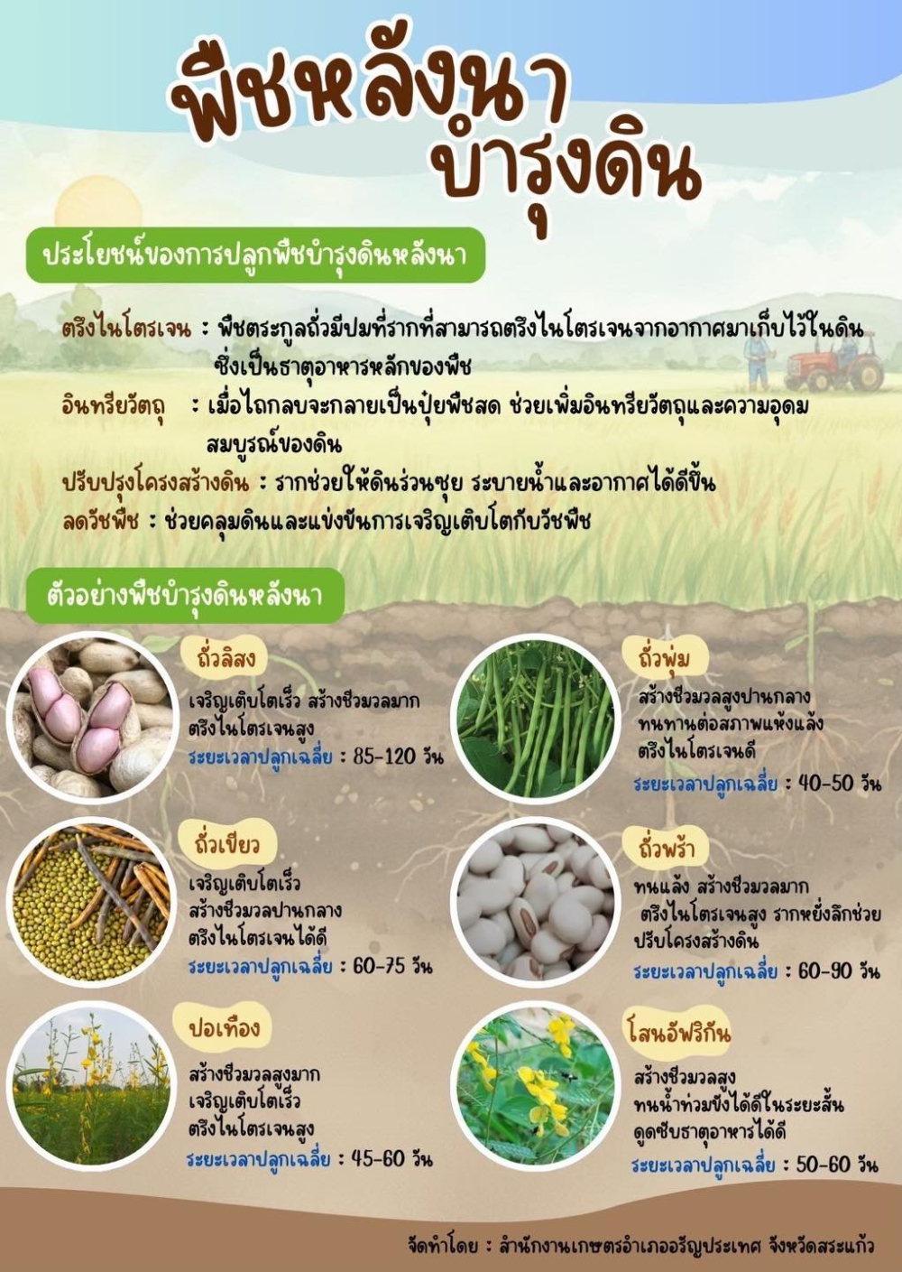 พืชหลังนาบำรุงดิน