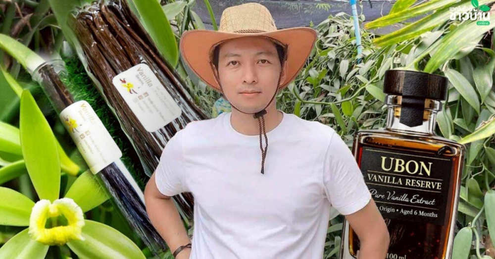 วิศวกรเครื่องกลปลูกวานิลลา1งานที่อุบลฯ