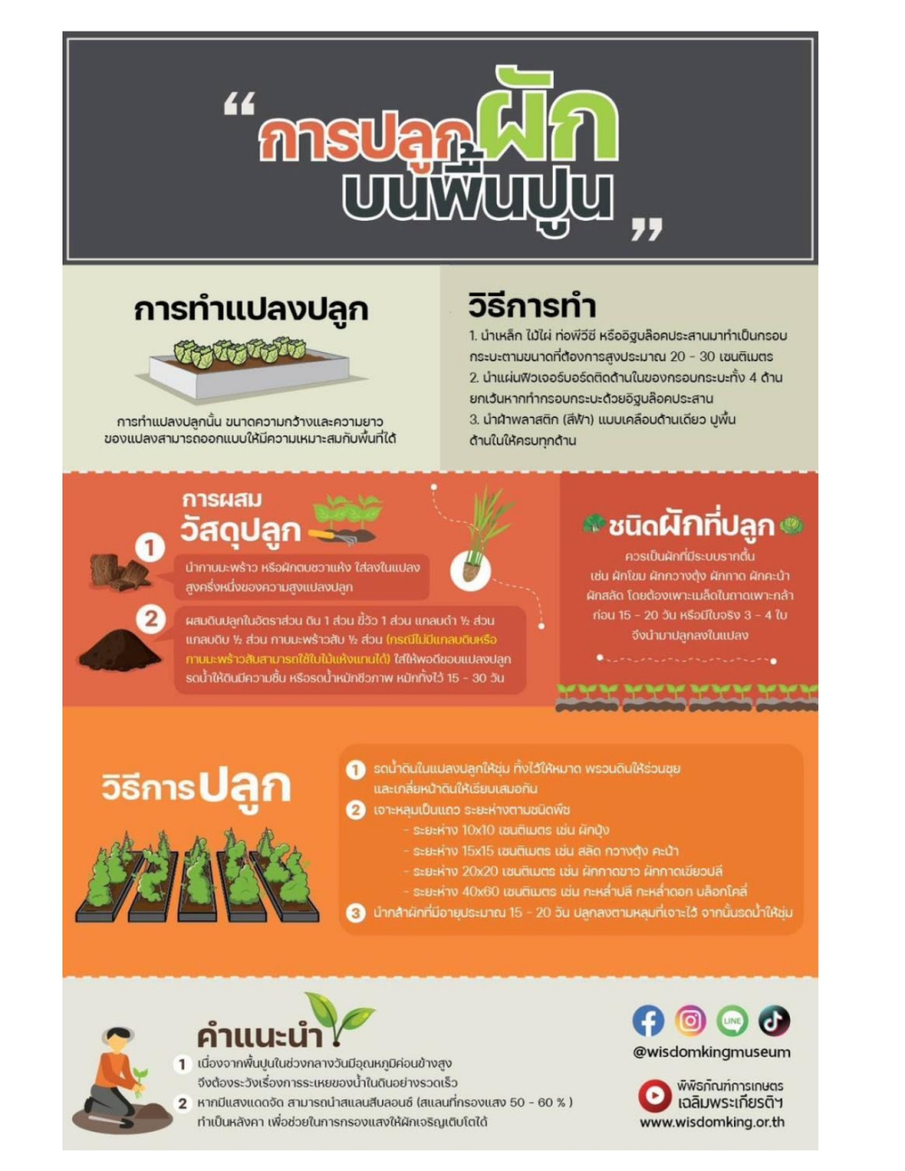 การปลูกผักบนพื้นปูน