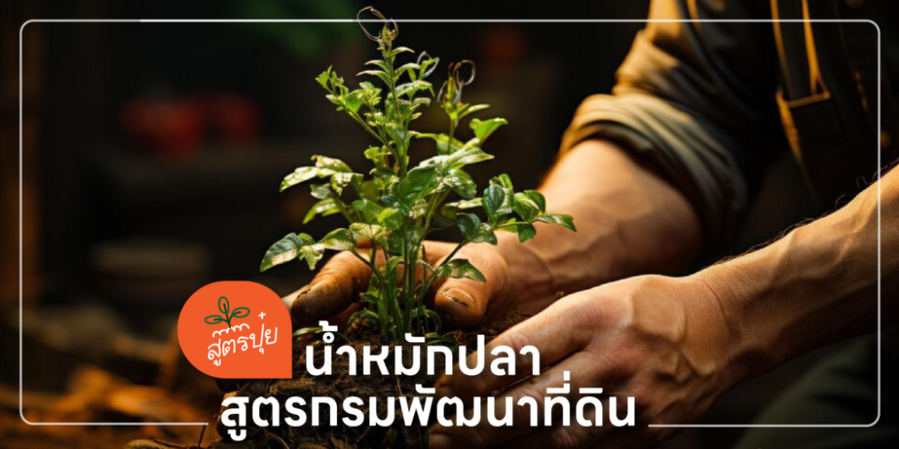 สูตรน้ำหมักปลาแหล่งธาตุอาหารพืชผลโตไว...