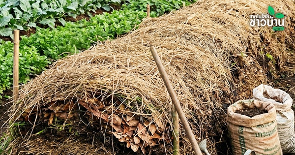 สูตรลับเกษตรยุคปุ๋ยแพง