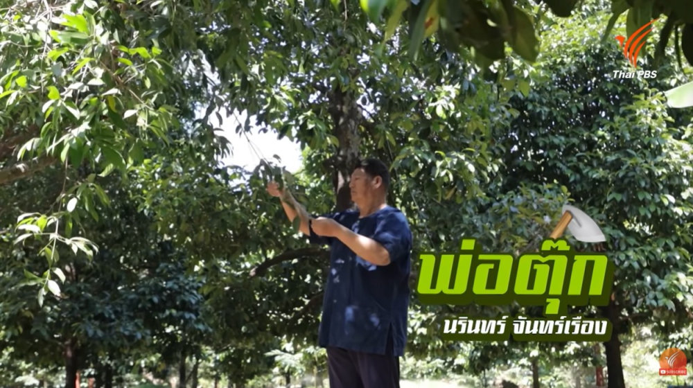 เกษตรไฮเทค ง่าย สบายด้วยปลายนิ้ว | มหาอำนาจบ้านนา