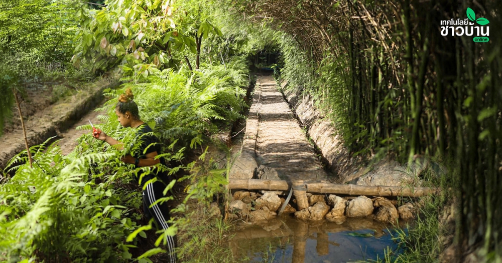 น้ำนาป่าบ้านโมเดลสู่ความยั่งยืนพื้นที่น้อย