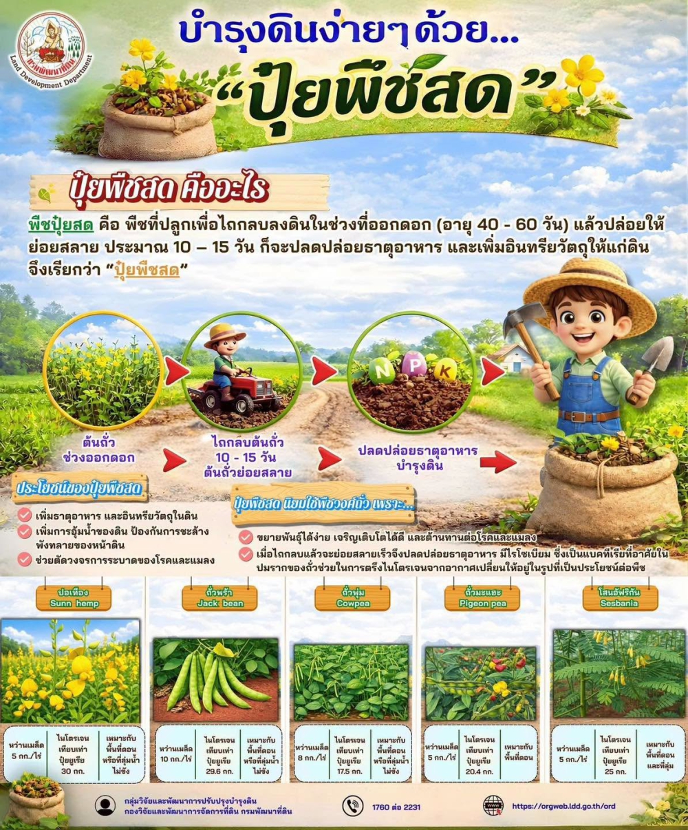 ดินดี…เริ่มได้ง่าย