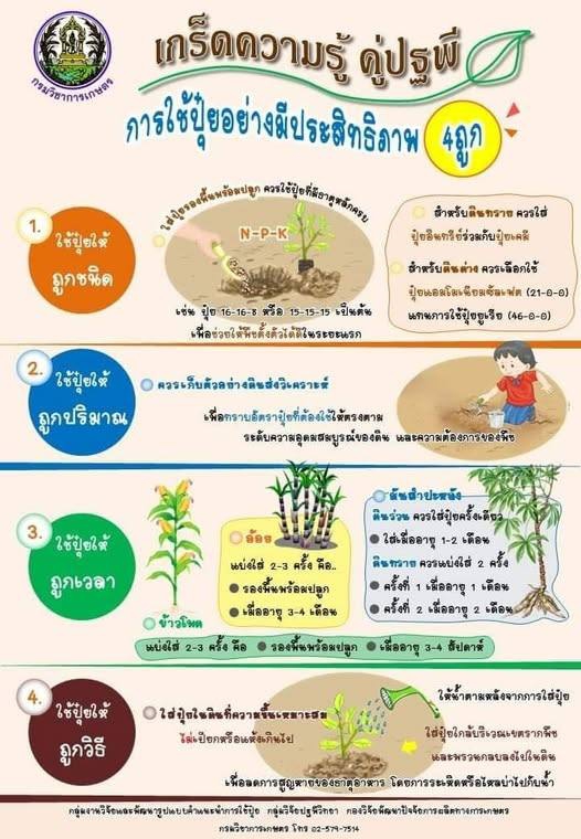 เมื่อปุ๋ยแพงใช้ปุ๋ยก็ต้องมีประสิทธิภาพ