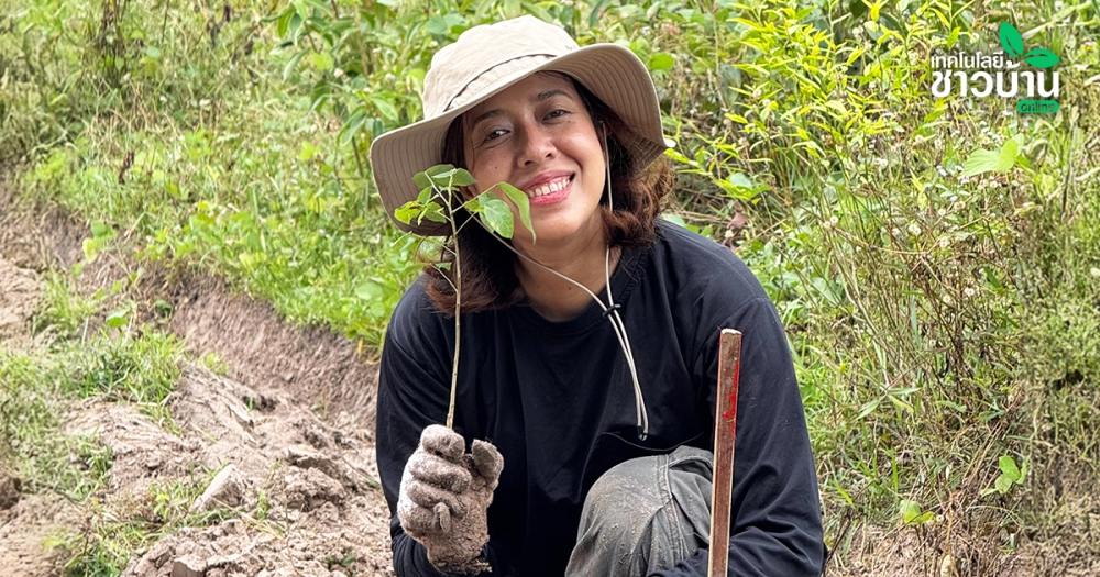 แนะวิธีบริหารที่ดิน