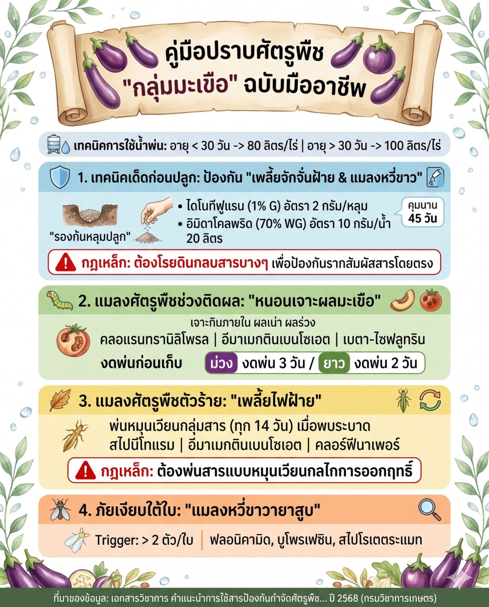 กลุ่มมะเขือ