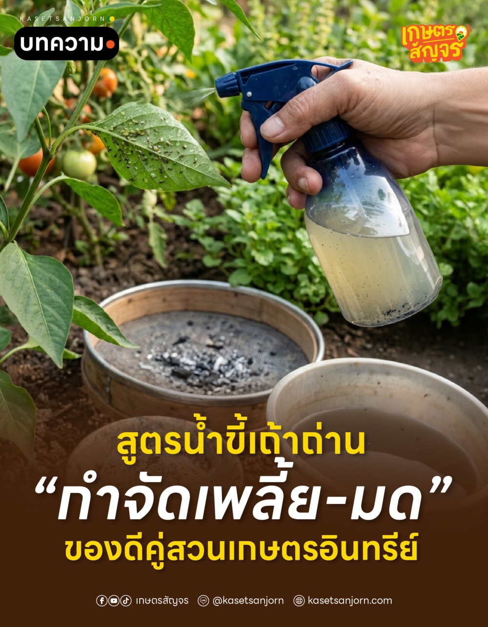 สูตรน้ำขี้เถ้าถ่าน