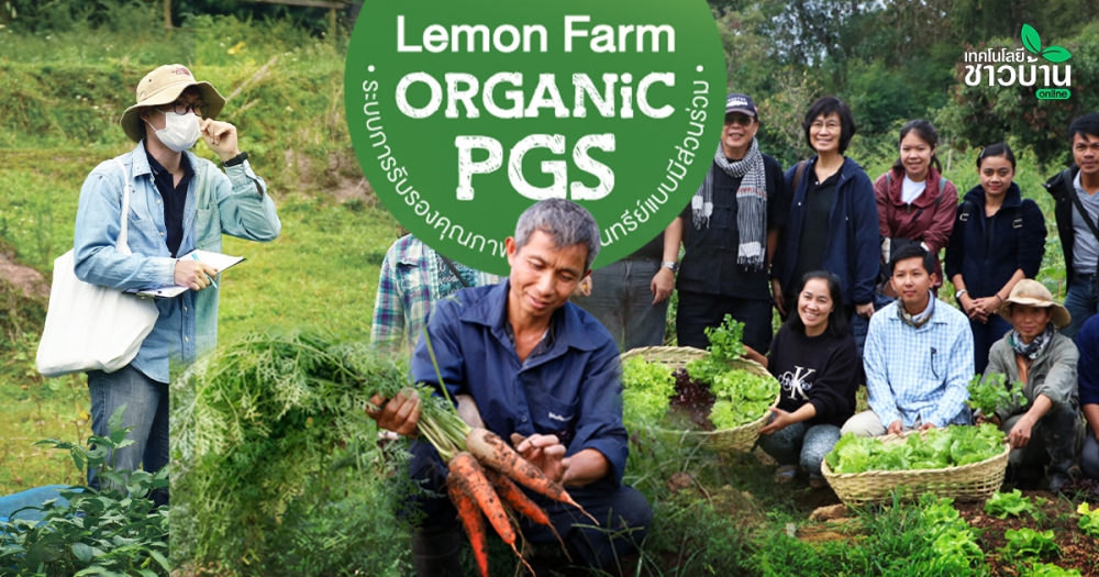 ผักออร์แกนิกที่ตรวจสอบได้