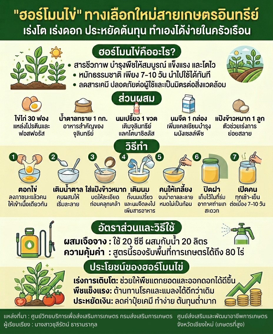 ฮอร์โมนไข่”ทางเลือกเกษตรอินทรีย์