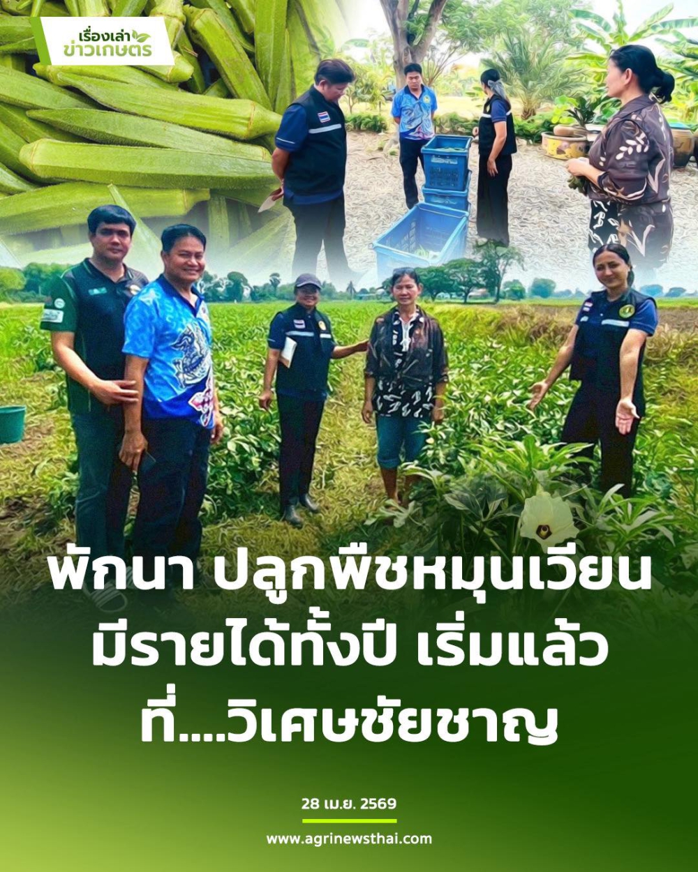 การพักนาปลูกพืชหมุนเวียนมีรายได้ทั้งปี