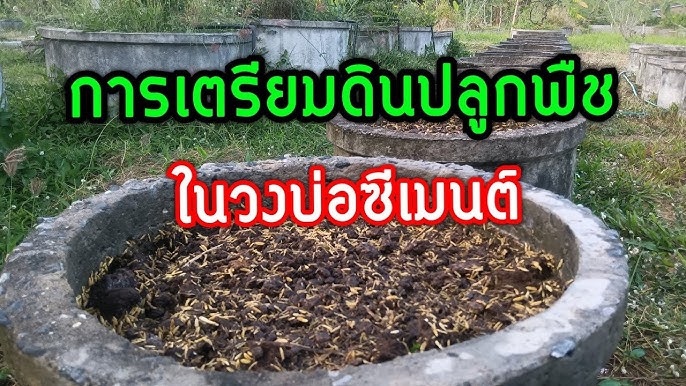 สูตรเตรียมดินปลูกพืช