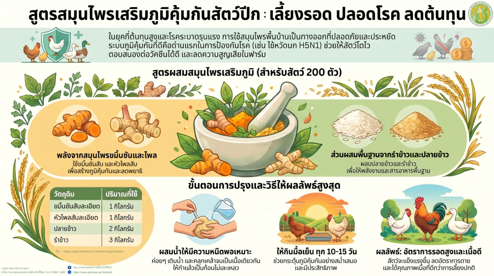สูตรสมุนไพรเสริมภูมิคุ้มกันสัตว์ปีก