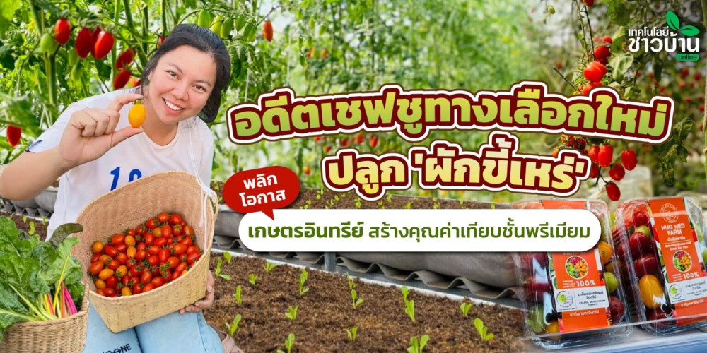 อดีตเชฟชูทางเลือกใหม่