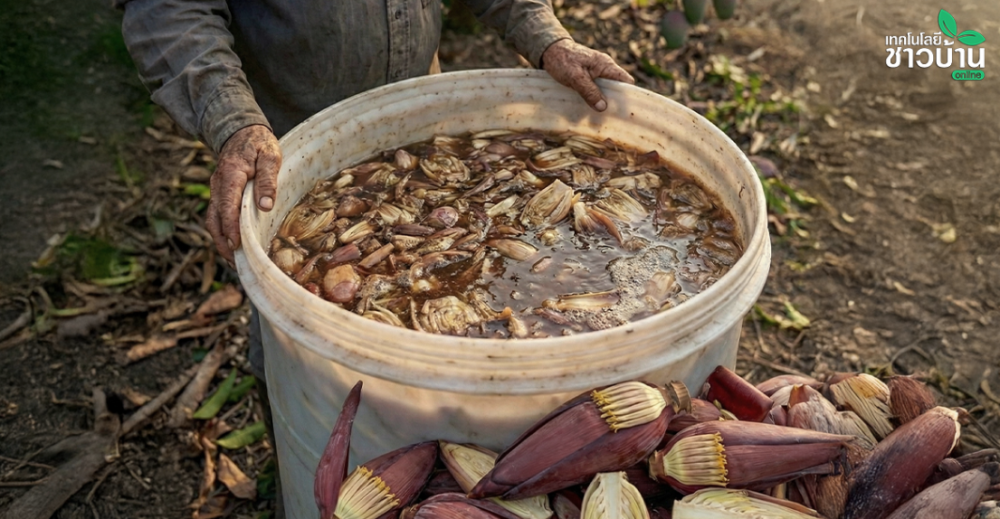 สูตรลับจากเกษตรกร