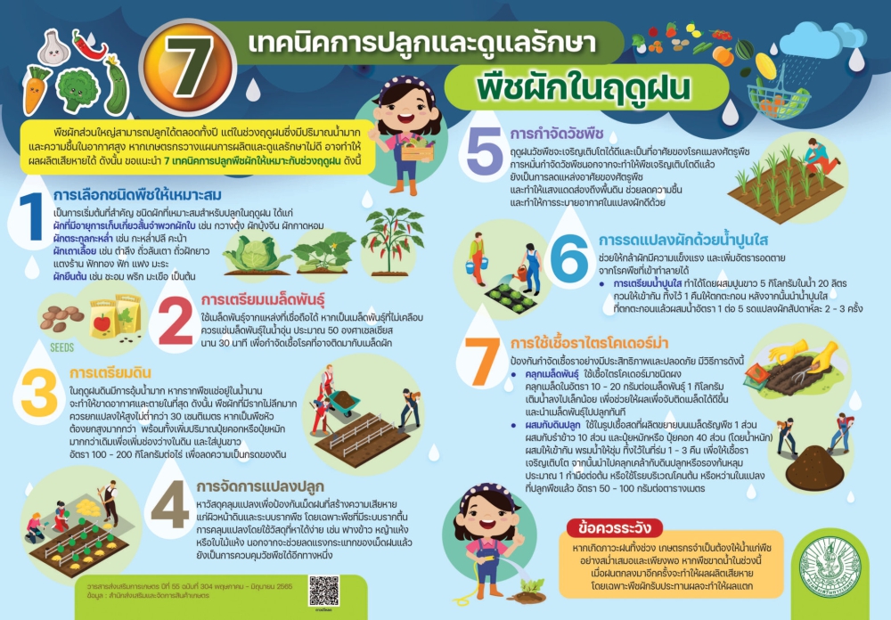 7 เทคนิคการปลูกและดูแลรักษาพืชผักในฤดูฝน