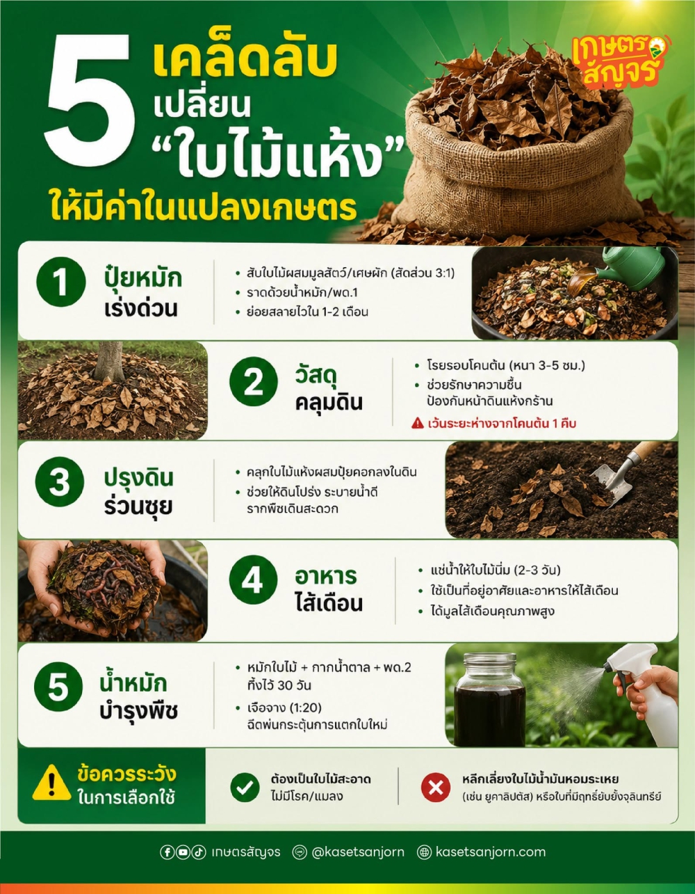 5 เคล็ดลับ เปลี่ยนใบไม้แห้งให้มีค่าในแปลงเกษตร