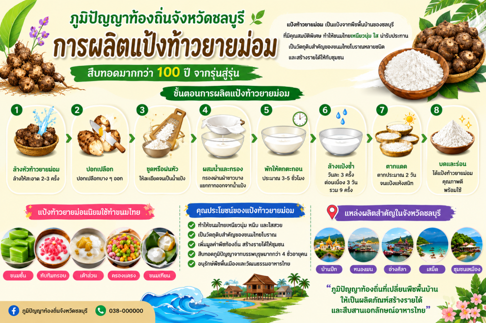 การผลิตแป้งท้าวยายม่อมของจังหวัดชลบุรี