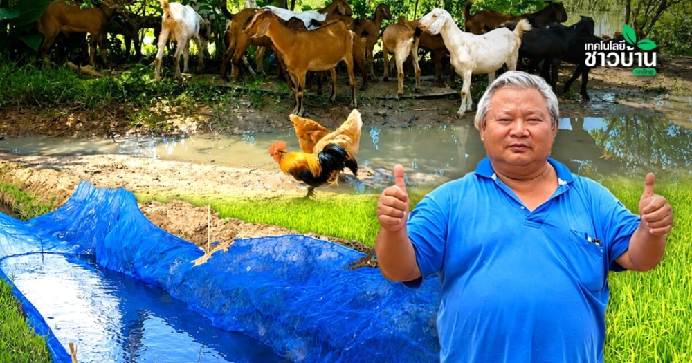ทำเกษตรต้องมีระบบ