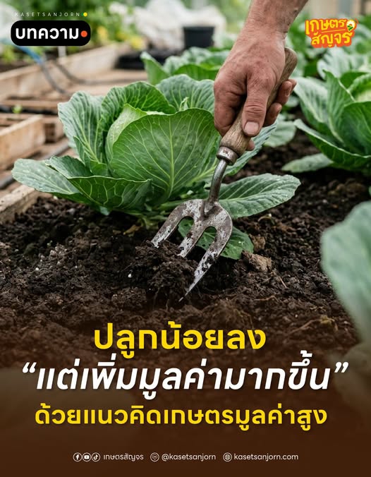 ปลูกน้อยลงแต่เพิ่มมูลค่าได้มากขึ้น