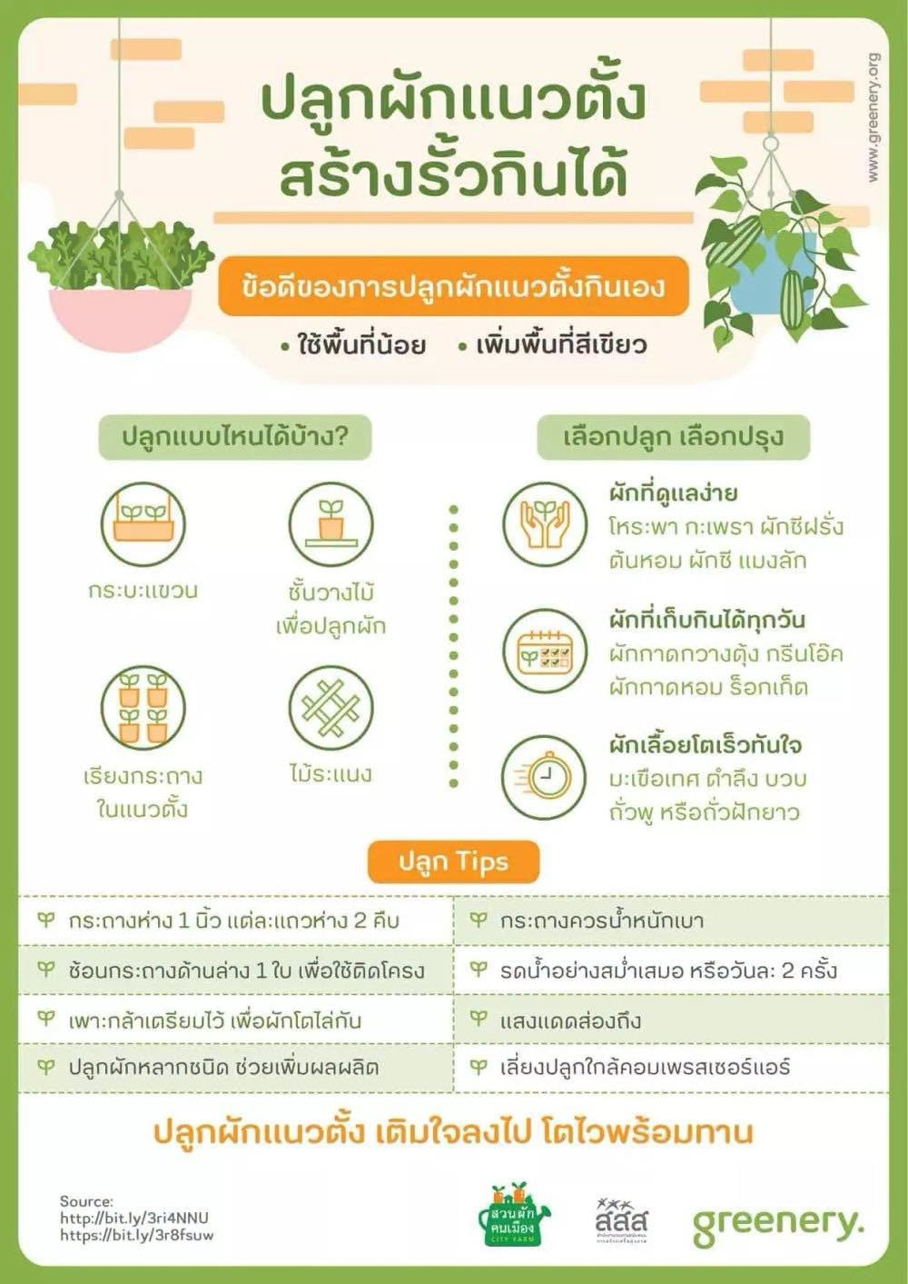ปลูกผักแนวตั้ง สร้างรั้วกินได้