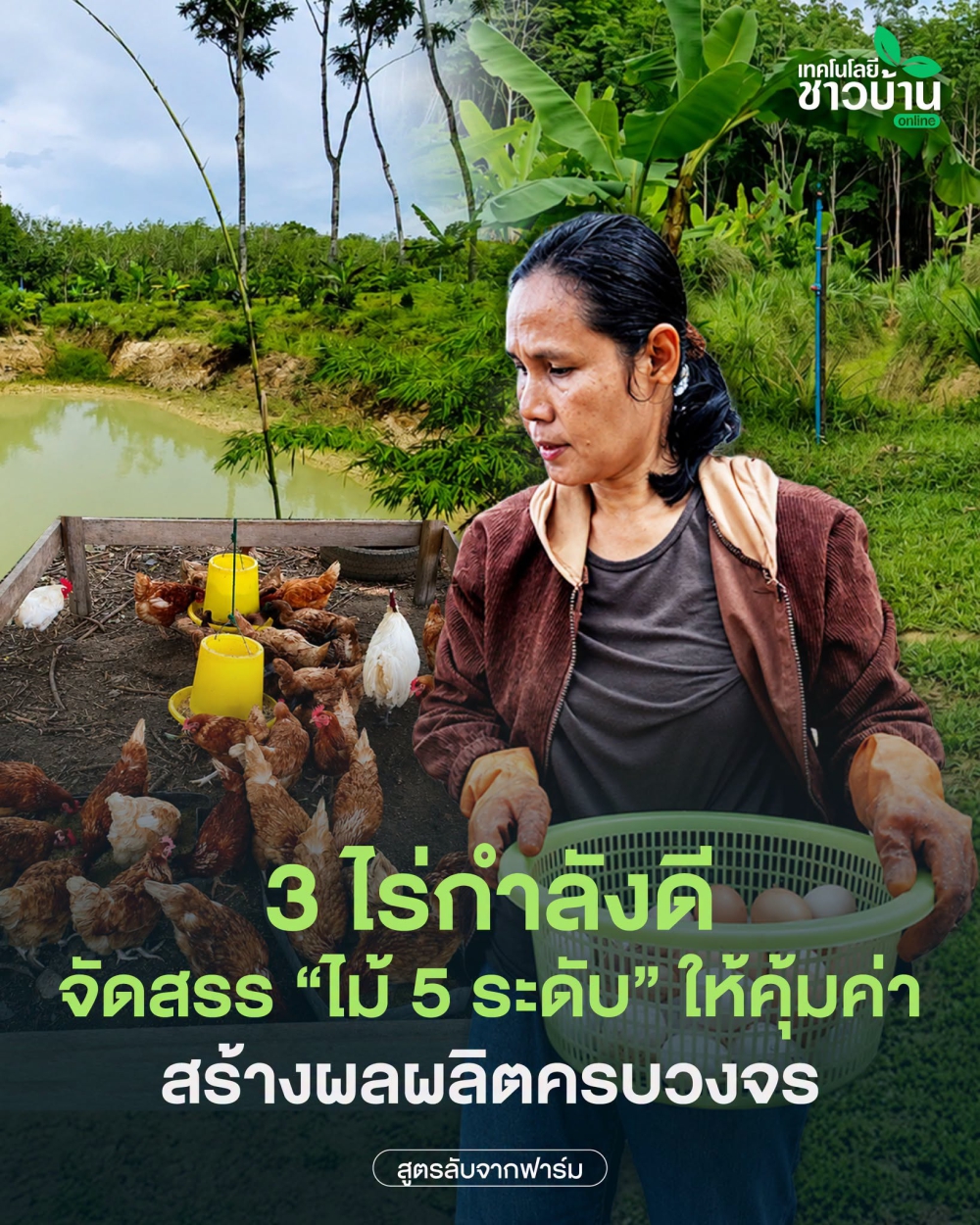 การจัดสรรแบ่งพื้นที่การเกษตร
