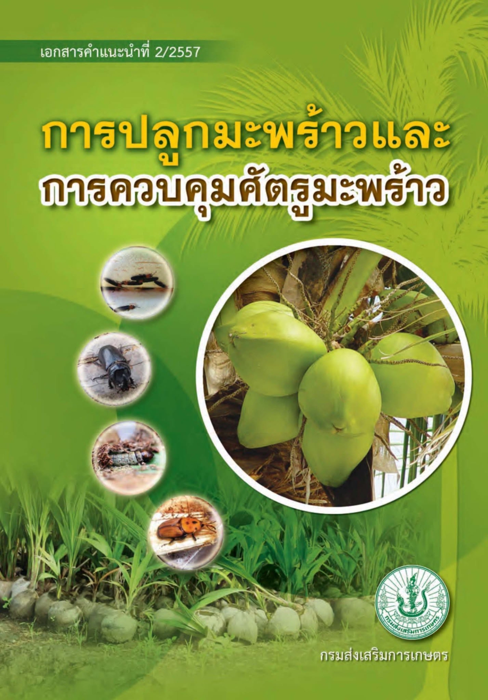 การปลูกมะพร้าวและการควบคุมศัตรูมะพร้าว