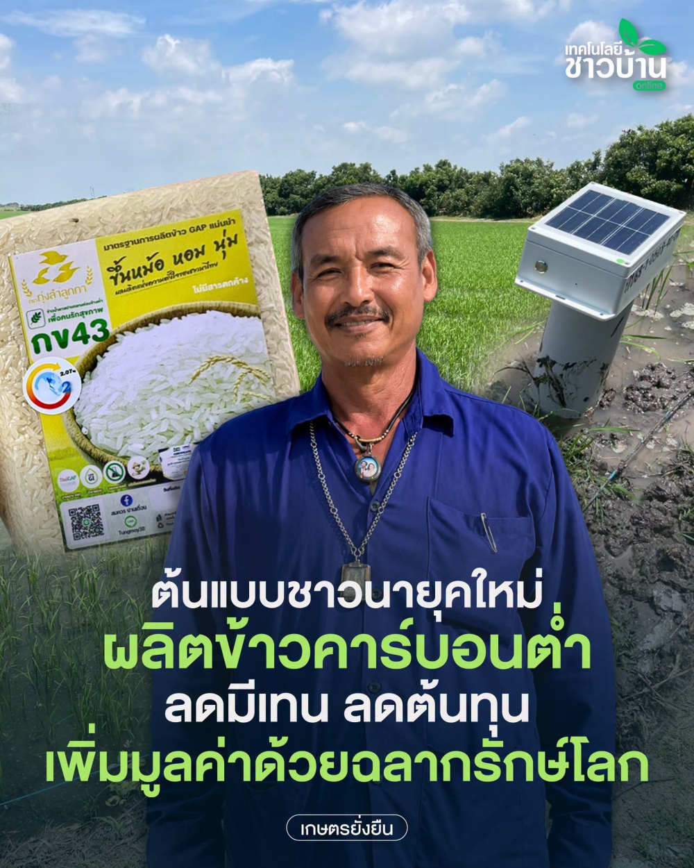 ผลิตข้าวคาร์บอนต่ำ