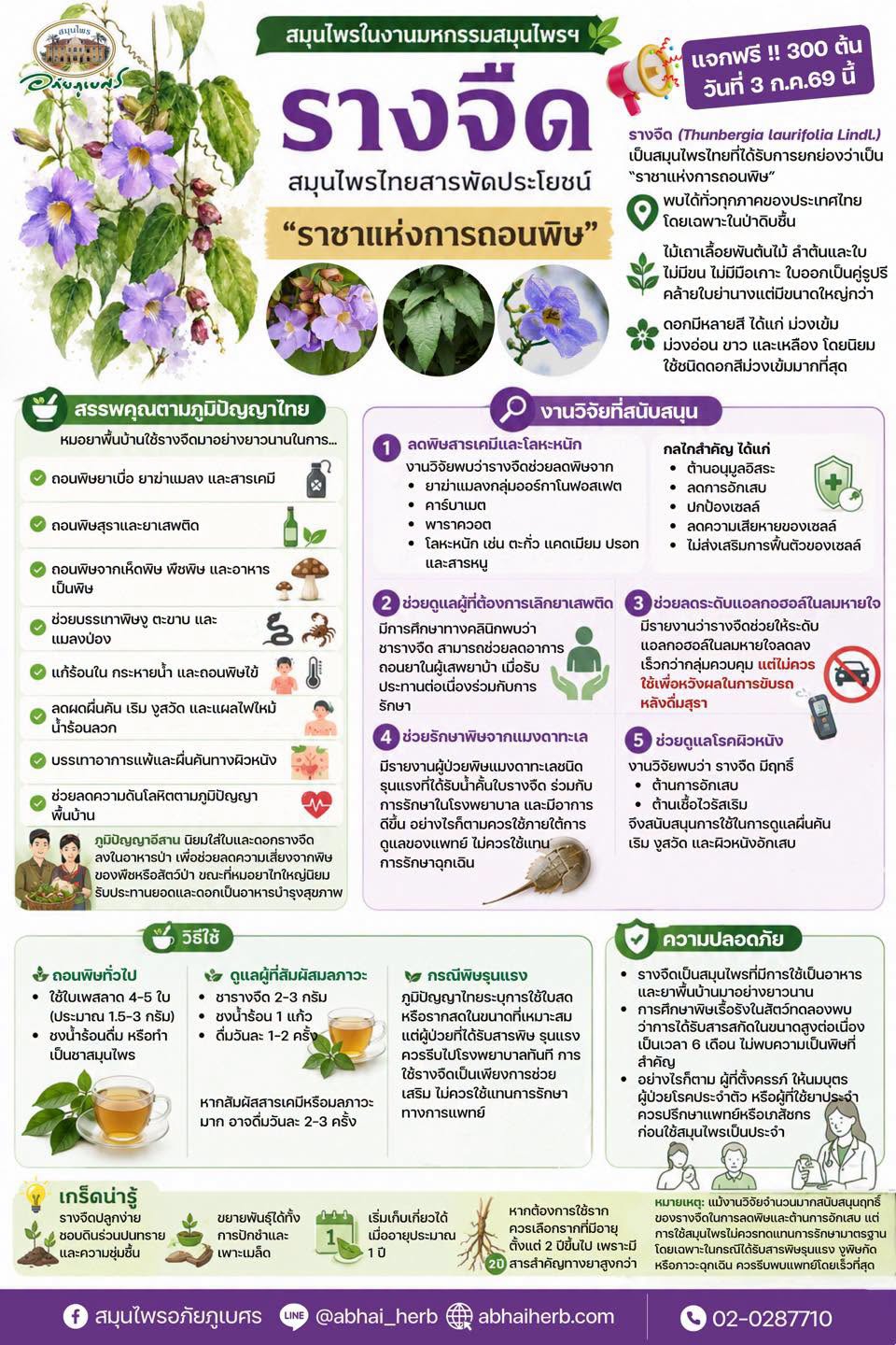 รางจืด สมุนไพรไทยสารพัดประโยชน์ “ราชาแห่งการถอนพิษ”