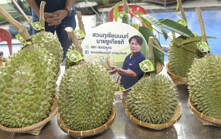 ทุเรียนนนท์ผลไม้GIมูลค่าสูงอันเป็นความหวัง