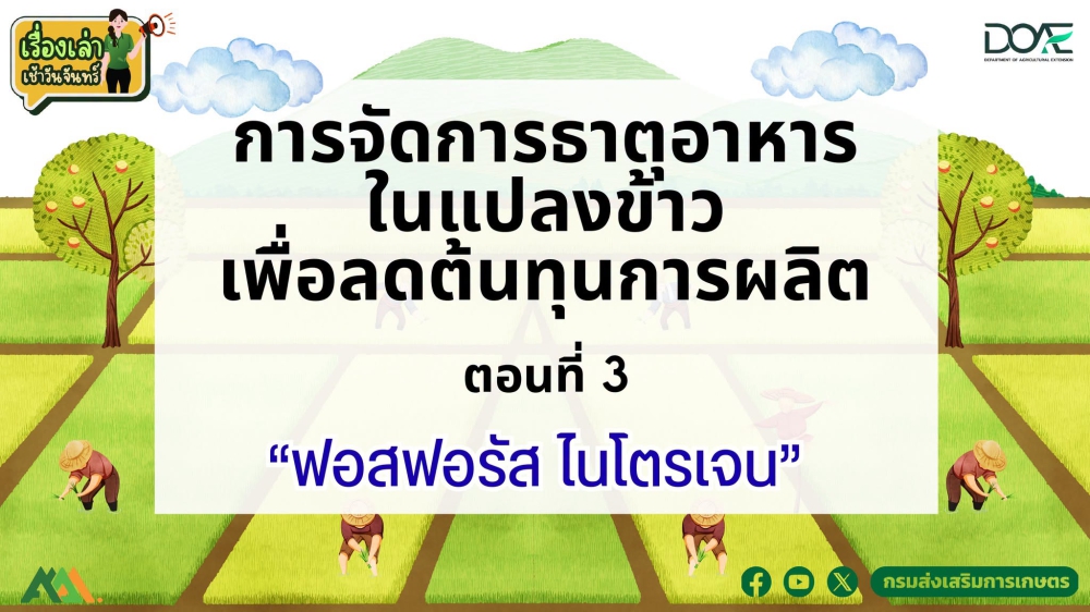 เรื่องเล่าเช้าวันจันทร์