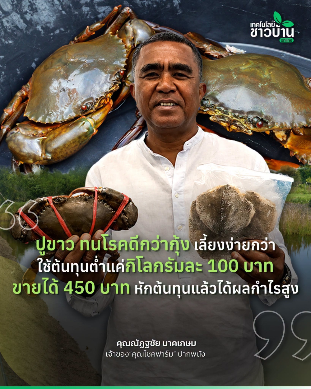 ปูขาว ทนโรคดีกว่ากุ้ง เลี้ยงง่ายกว่า