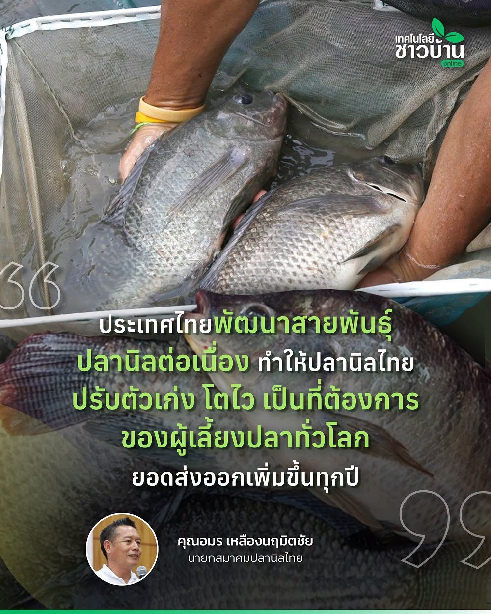 ปลานิล”สัตว์น้ำเศรษฐกิจอันดับ