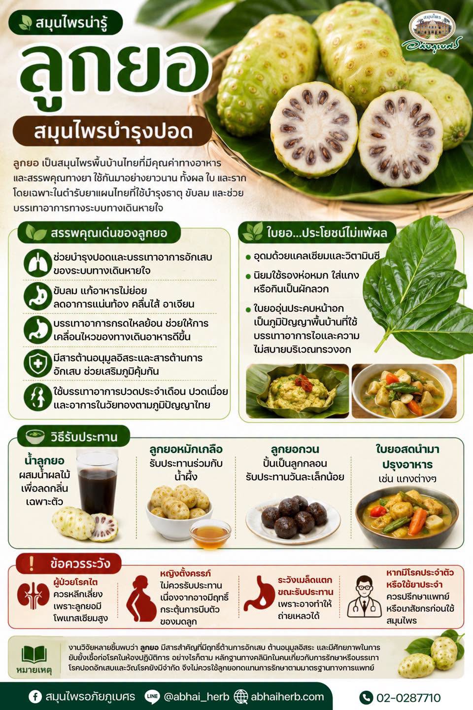 ลูกยอ สมุนไพรบำรุงปอด
