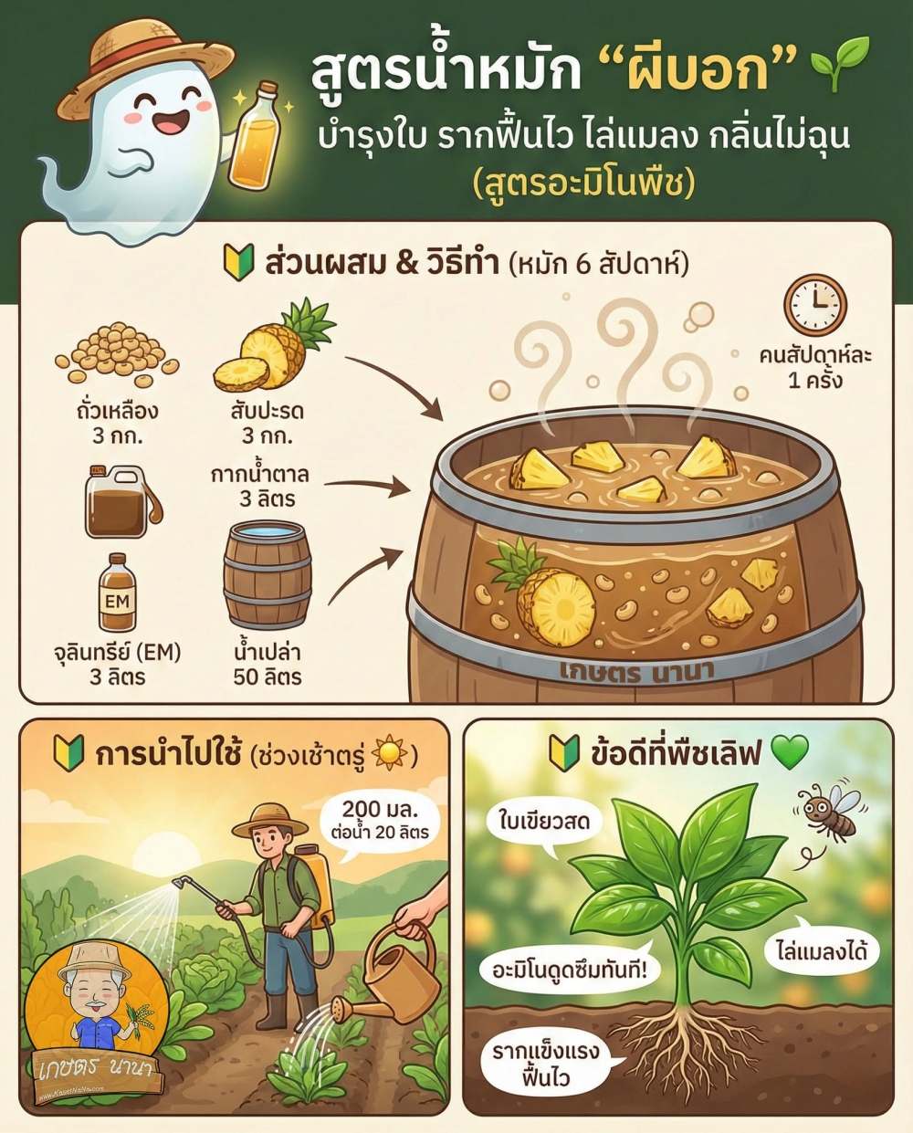 สูตรน้ำหมัก“ผีบอก”บำรุงใบรากฟื้นไว