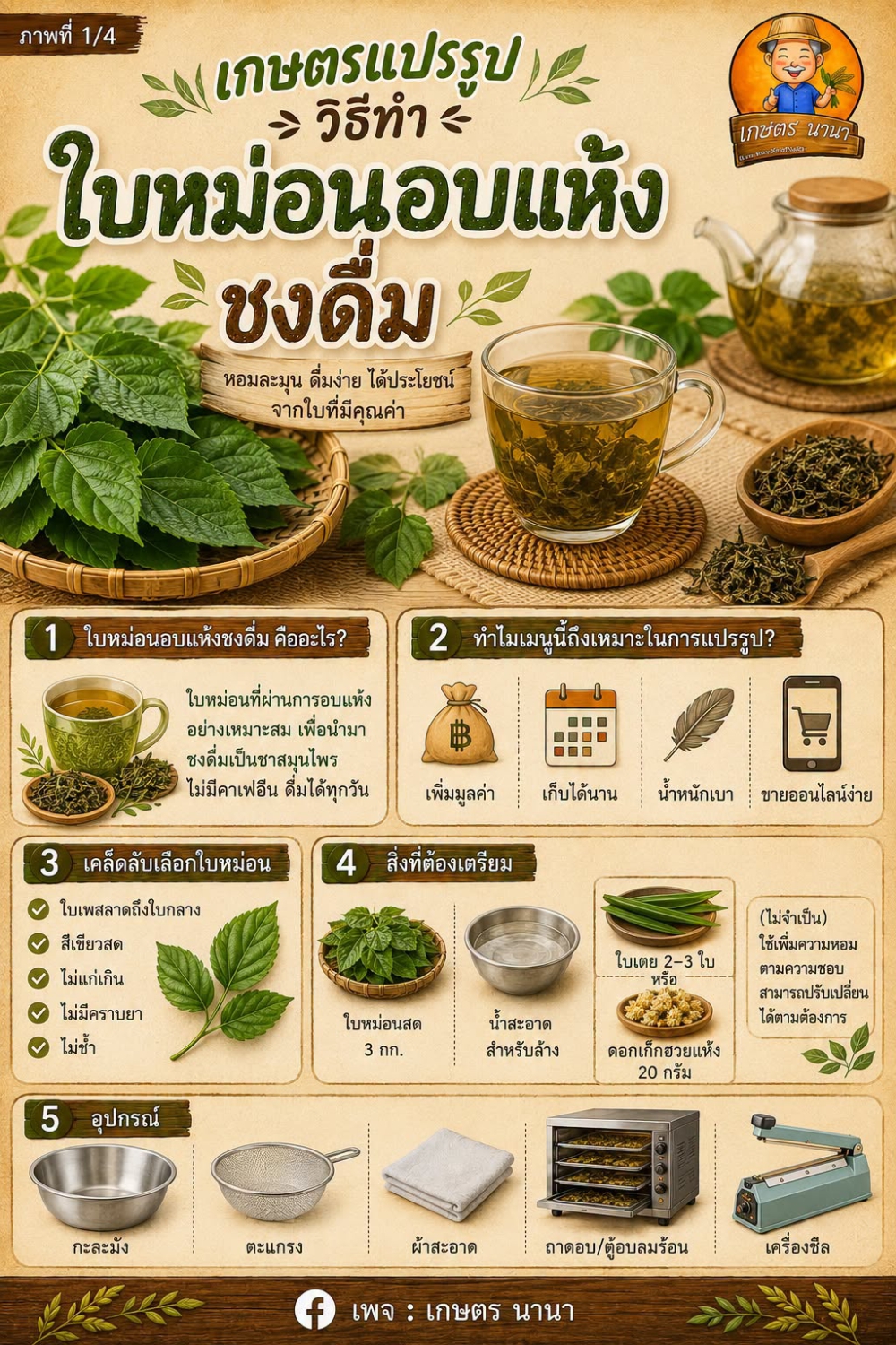 เกษตรแปรรูปวิธีทำ“ใบหม่อนอบแห้งชงดื่ม”