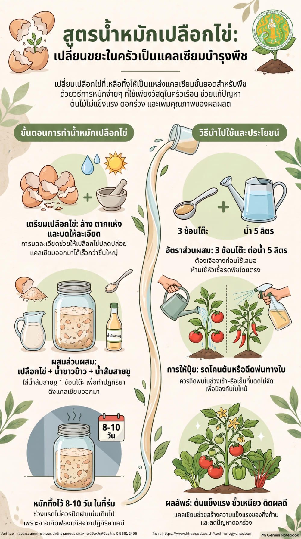 สูตรน้ำหมักเปลือกไข่