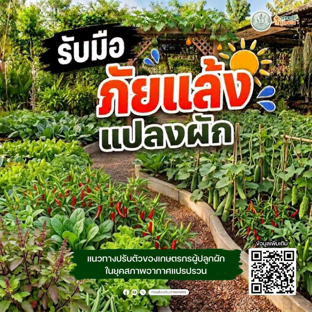 ผลกระทบต่อการเจริญเติบโตของพืชผักและผลผลิต