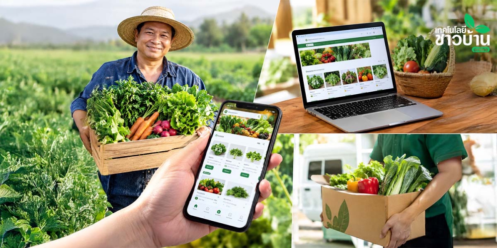 รวม3แพลตฟอร์มซื้อขาย“ผักออร์แกนิค”ออนไลน์