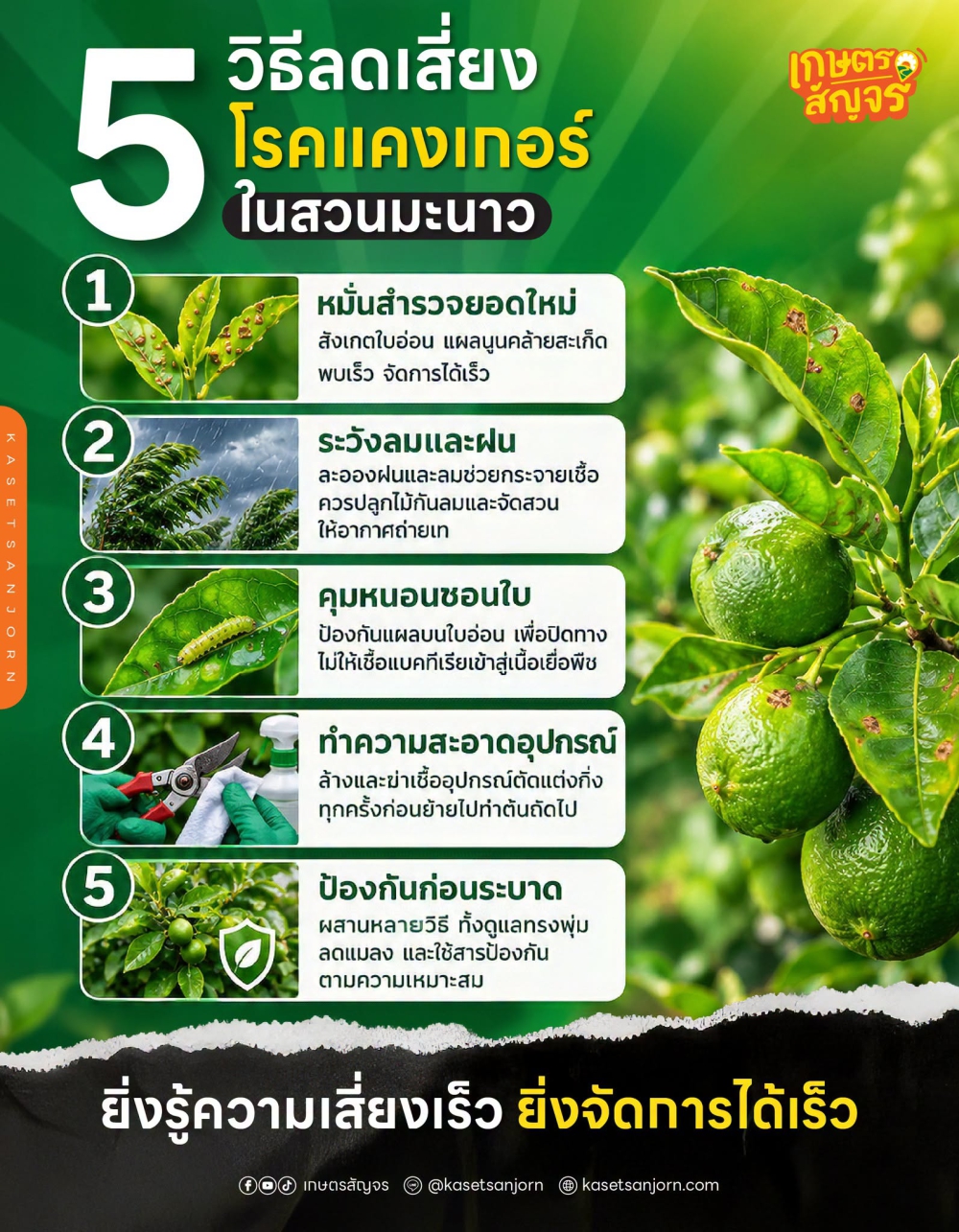 5เรื่องที่สวนมะนาวควรรู้