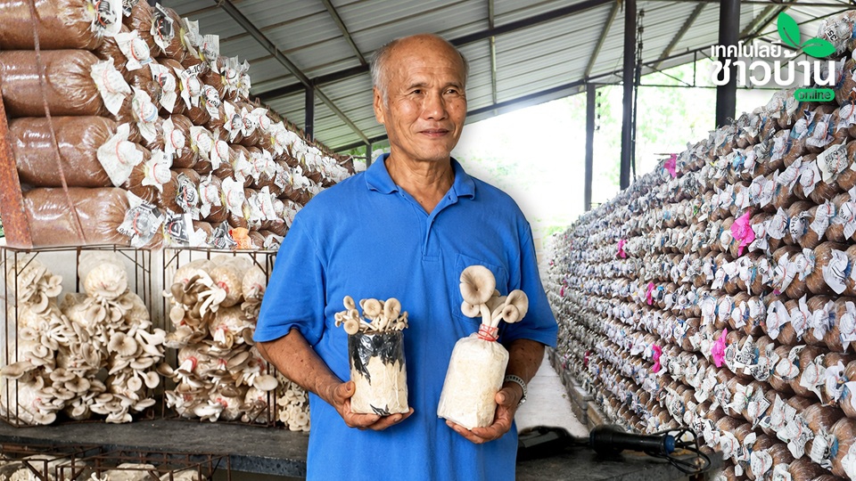 พลิกชีวิตปลดหนี้10ล้านได้สำเร็จเพราะสร้างเงินรายวันจากธุรกิจฟาร์มเห็ดครบวงจร