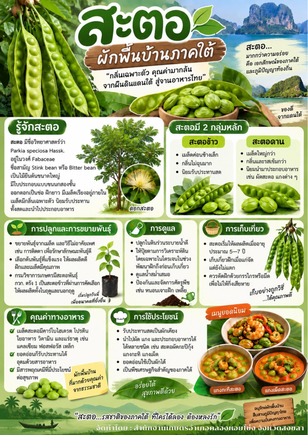 เกษตรคลองหอยโข่ง...แนะนำ...สาระน่ารู้ด้านการเกษตร  สะตอ