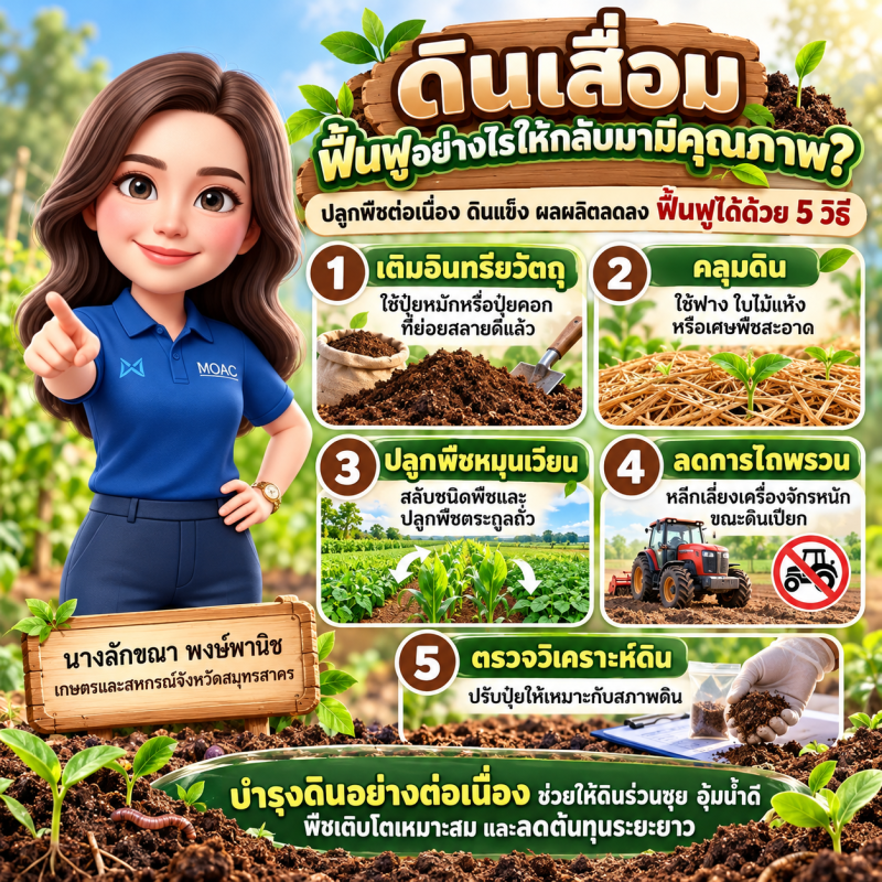 ดินเสื่อม ฟื้นฟูอย่างไรให้กลับมามีคุณภาพ