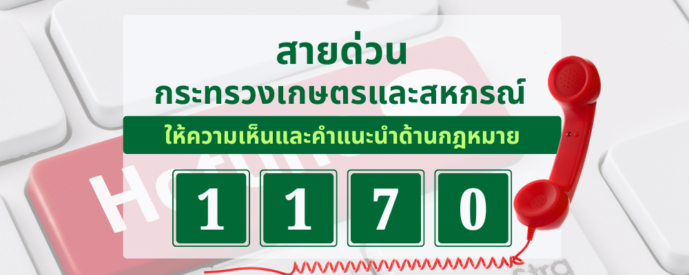 Hotline กฎหมาย