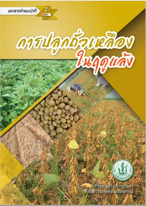E-book ด้านการเกษตร เรื่อง การปลูกถั่วเหลืองในฤดูแล้ง